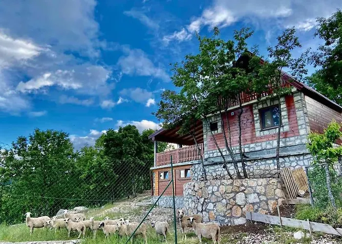 Mountain Village House