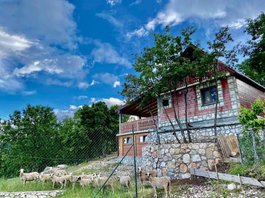 Mountain Holiday home Cetinje