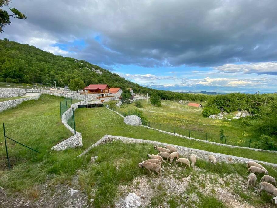Mountain Cetinje